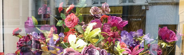 flowers-reflection-in-window